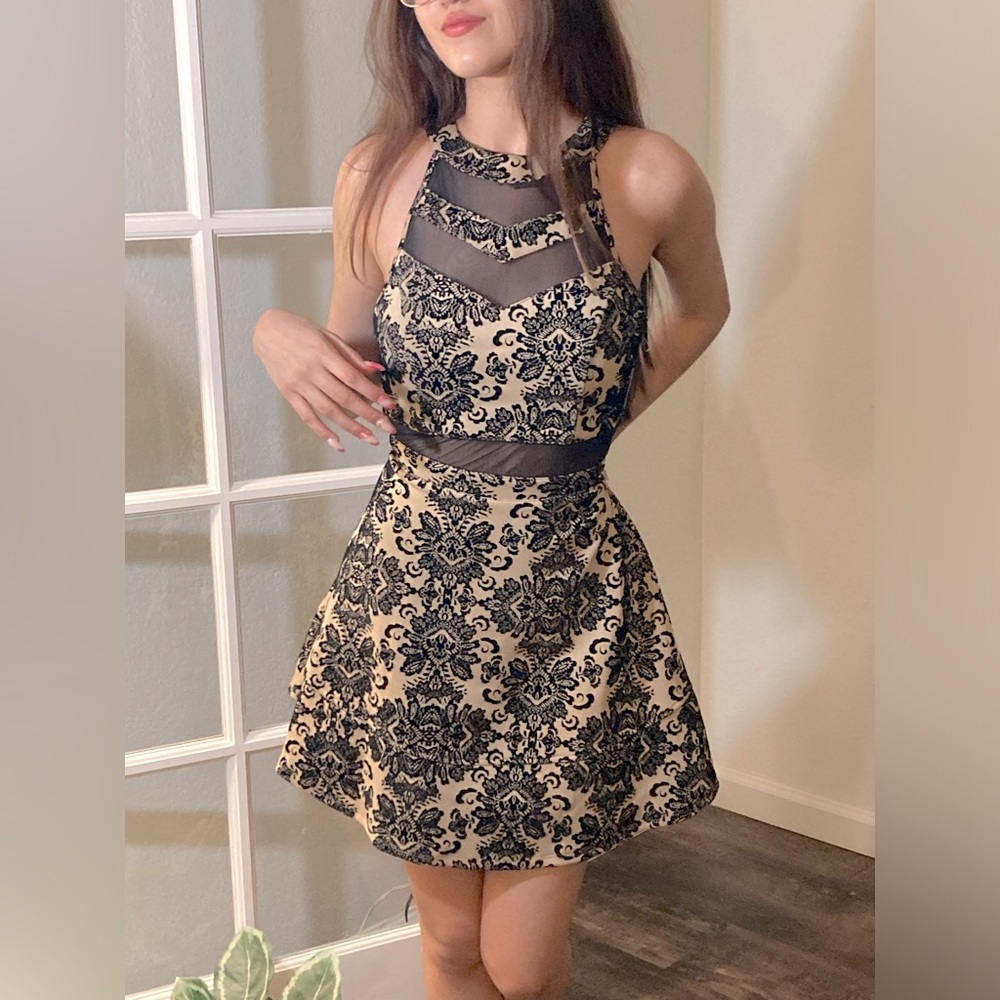 Cute Windsor Velvet Feel Black & Tan Dress